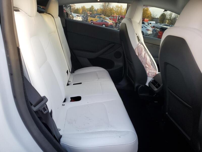 2023 TESLA MODEL Y - 7SAYGDEE0PF814285 | SeoVin.biz