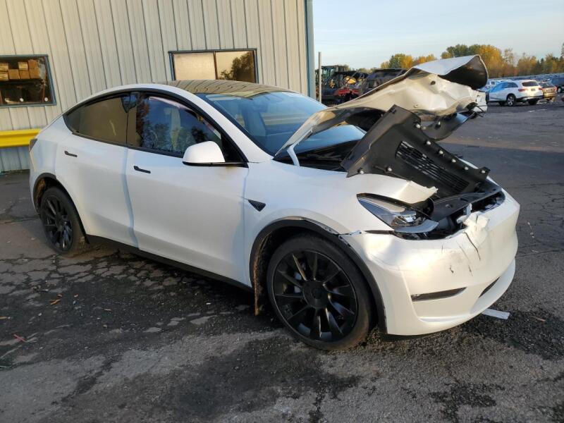 2023 TESLA MODEL Y - 7SAYGDEE0PF814285 | SeoVin.biz