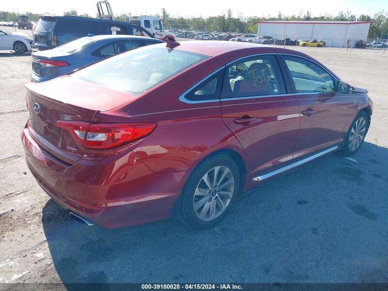 2016 HYUNDAI SONATA SPORT - 5NPE34AF5GH390520 | SeoVin.biz