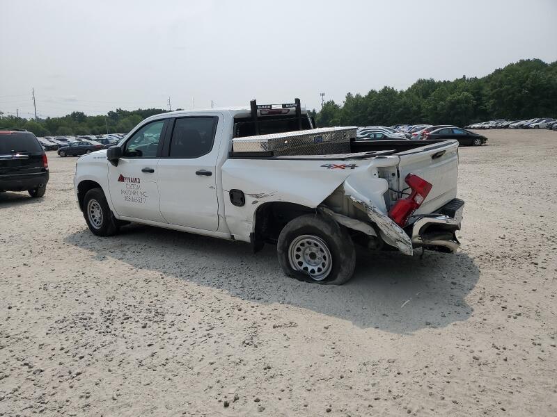 2022 CHEVROLET SILVERADO K1500 - 1GCPDAEK1NZ602024 | SeoVin.biz