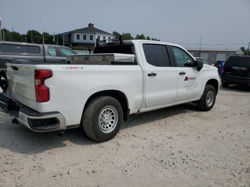 2022 CHEVROLET SILVERADO K1500 - 1GCPDAEK1NZ602024 | SeoVin.biz