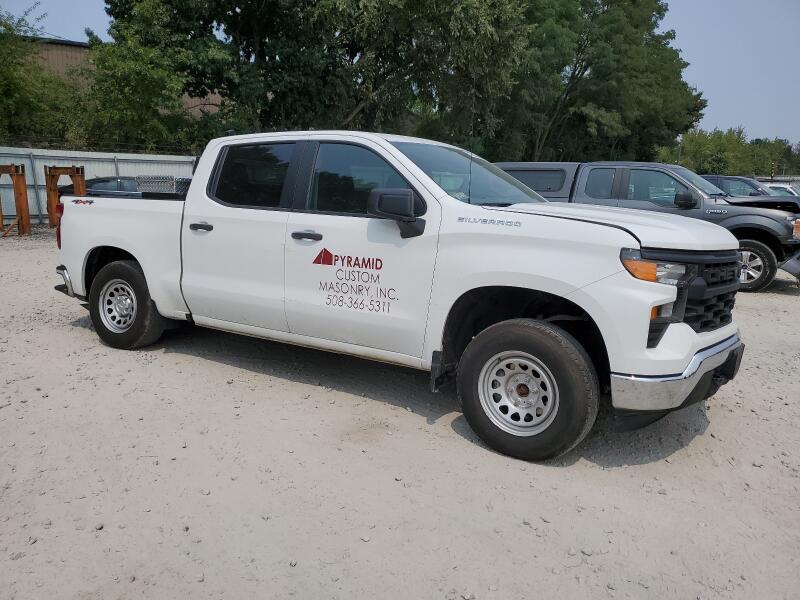 2022 CHEVROLET SILVERADO K1500 - 1GCPDAEK1NZ602024 | SeoVin.biz