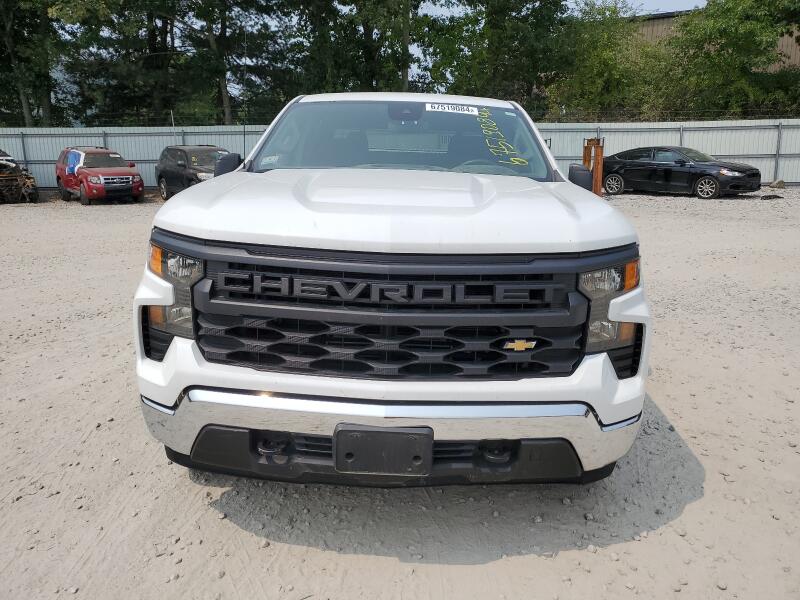 2022 CHEVROLET SILVERADO K1500 - 1GCPDAEK1NZ602024 | SeoVin.biz