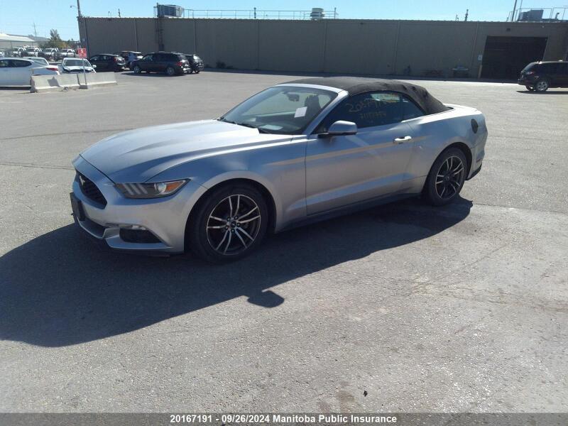 2015 FORD MUSTANG - 1FATP8UH6F5421021 | SeoVin.biz