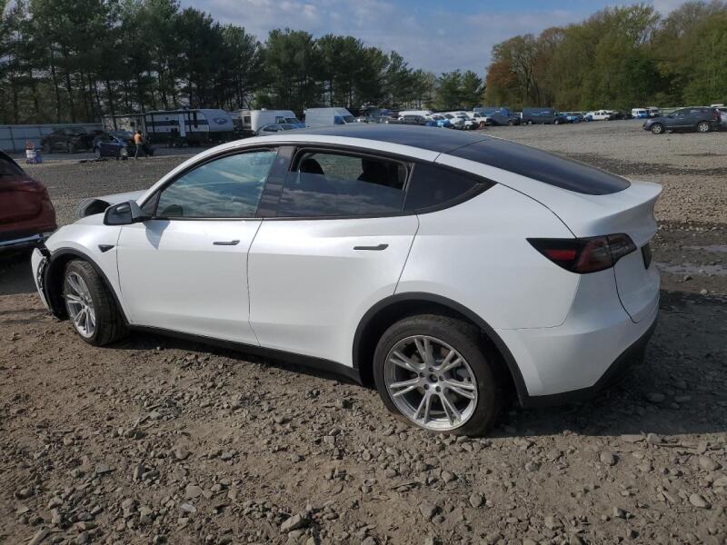 2023 TESLA MODEL Y - 7SAYGDEE3PA099824 | SeoVin.biz