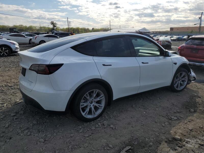 2023 TESLA MODEL Y - 7SAYGDEE3PA099824 | SeoVin.biz