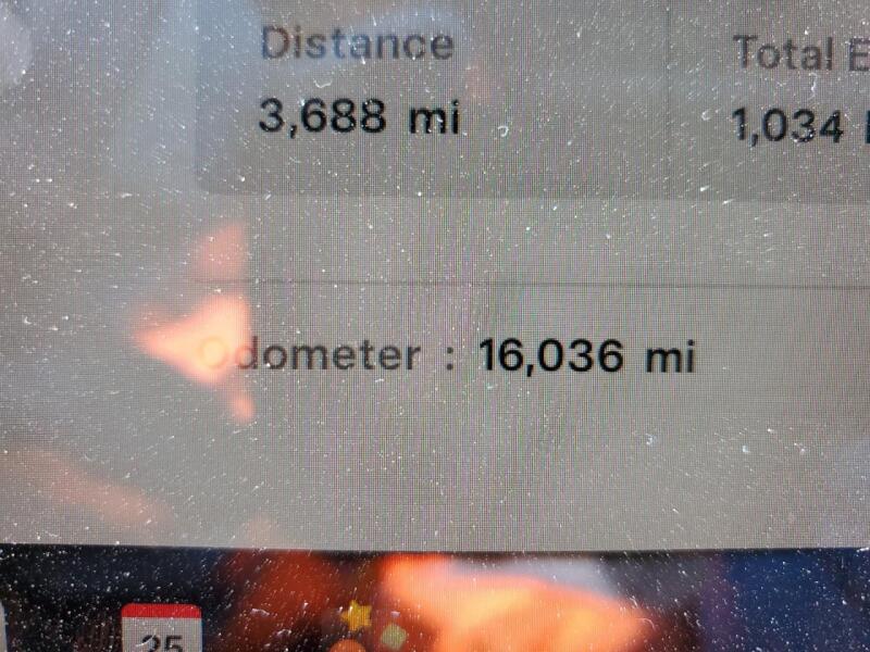 2023 TESLA MODEL Y - 7SAYGDEE3PA099824 | SeoVin.biz