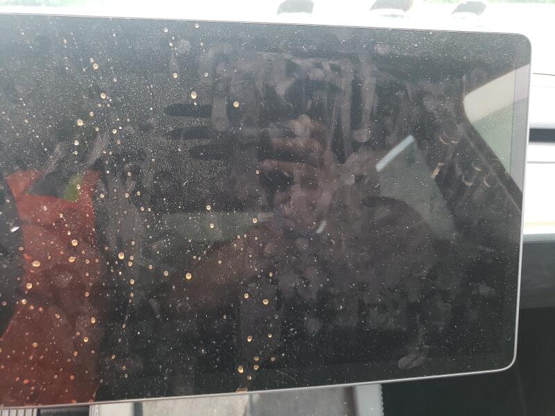 2023 TESLA MODEL Y - 7SAYGAEE2PF618816 | SeoVin.biz