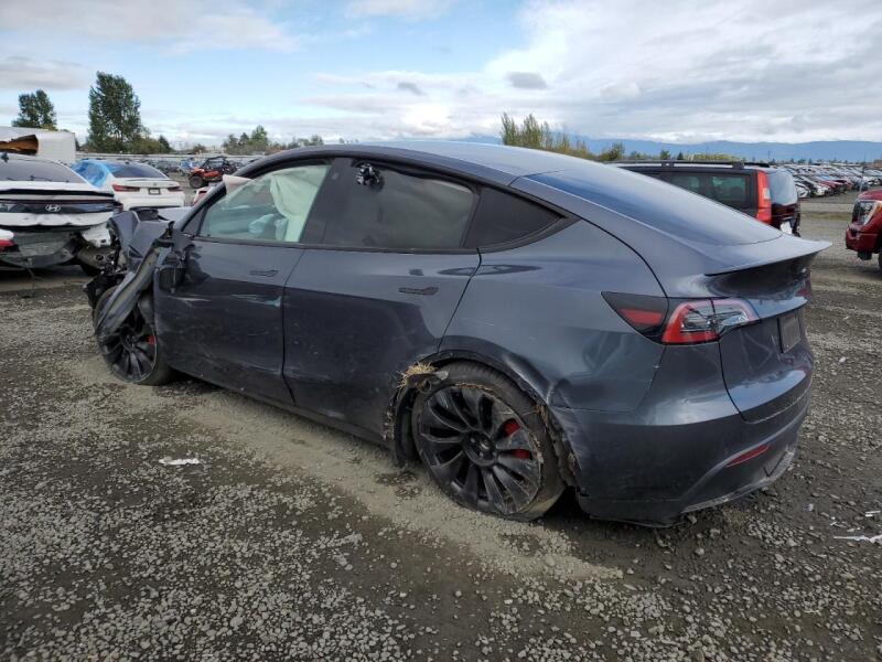 2022 TESLA MODEL Y - 7SAYGDEF4NF489565 | SeoVin.biz