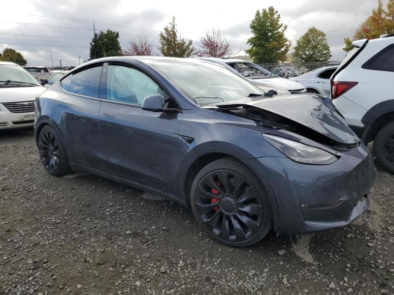 2022 TESLA MODEL Y - 7SAYGDEF4NF489565 | SeoVin.biz