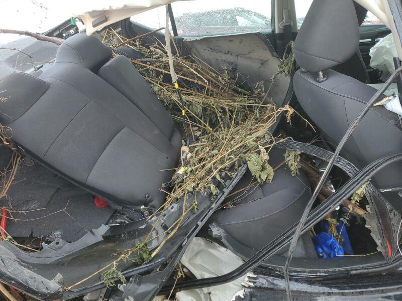 2021 NISSAN ALTIMA SV - 1N4BL4DV2MN354288 | SeoVin.biz