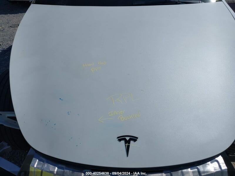 2023 TESLA MODEL Y AWD/LONG RANGE DUAL MOTOR ALL-WHEEL DRIVE - 7SAYGAEE7PF701268 | SeoVin.biz