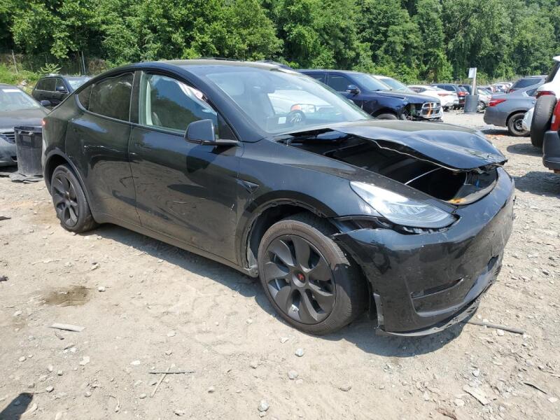 2023 TESLA MODEL Y - 7SAYGDEE1PA149474 | SeoVin.biz