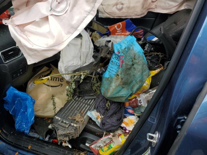 2022 MAZDA CX-5 SIGNATURE - JM3KFBXY3N0532436 | SeoVin.biz