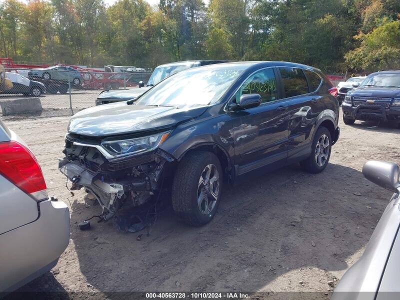 2019 HONDA CR-V EX - 2HKRW2H55KH616722 | SeoVin.biz