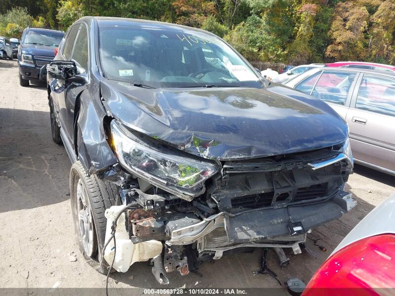 2019 HONDA CR-V EX - 2HKRW2H55KH616722 | SeoVin.biz