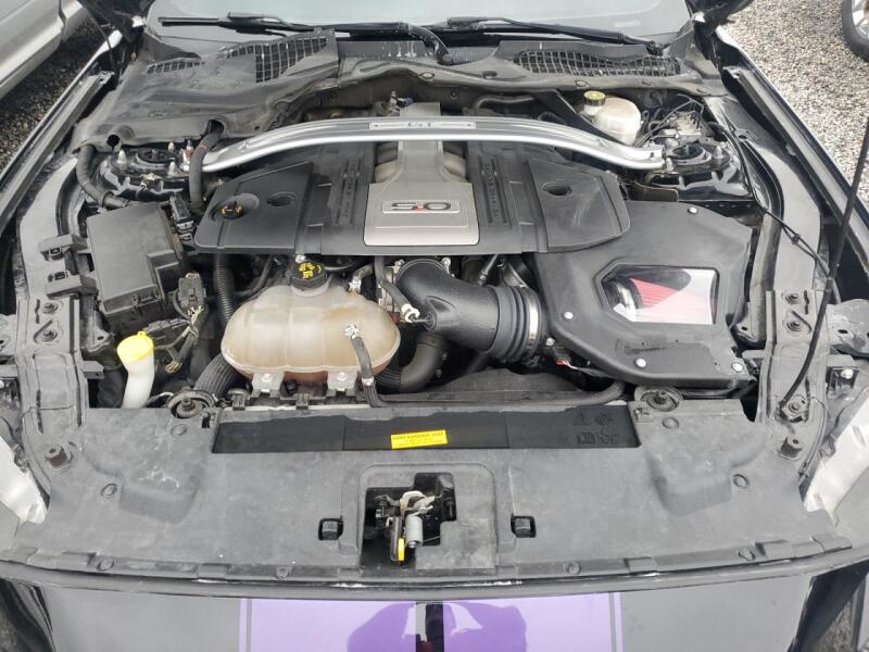 2019 FORD MUSTANG GT - 1FA6P8CF3K5191090 | SeoVin.biz