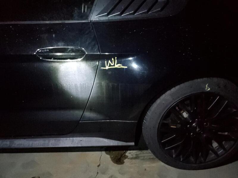 2019 FORD MUSTANG GT - 1FA6P8CF3K5191090 | SeoVin.biz