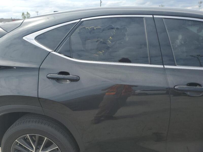 2023 LEXUS NX 250 - 2T2GDCEZ3PC003028 | SeoVin.biz