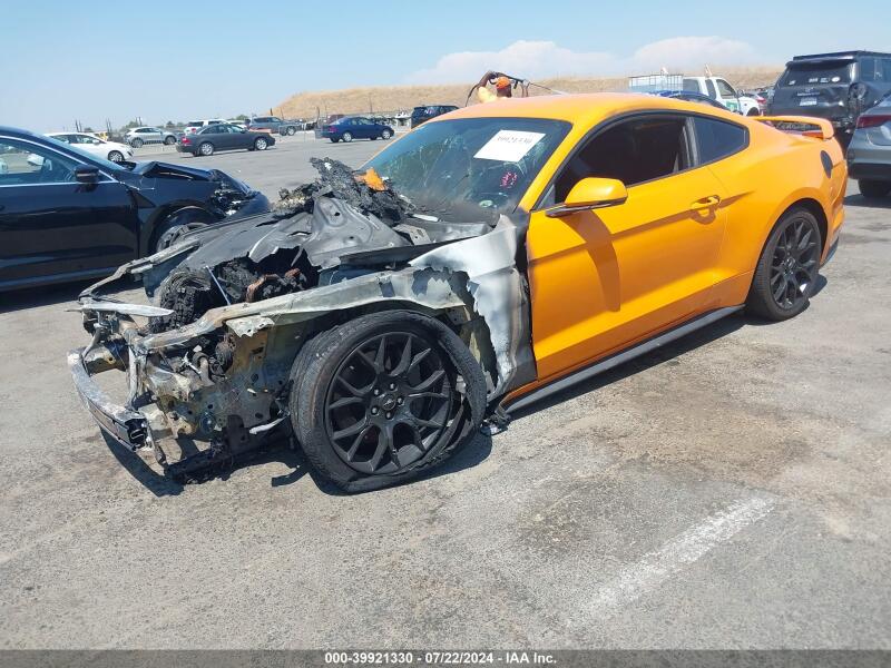 2019 FORD MUSTANG ECOBOOST PREMIUM - 1FA6P8TH3K5189826 | SeoVin.biz