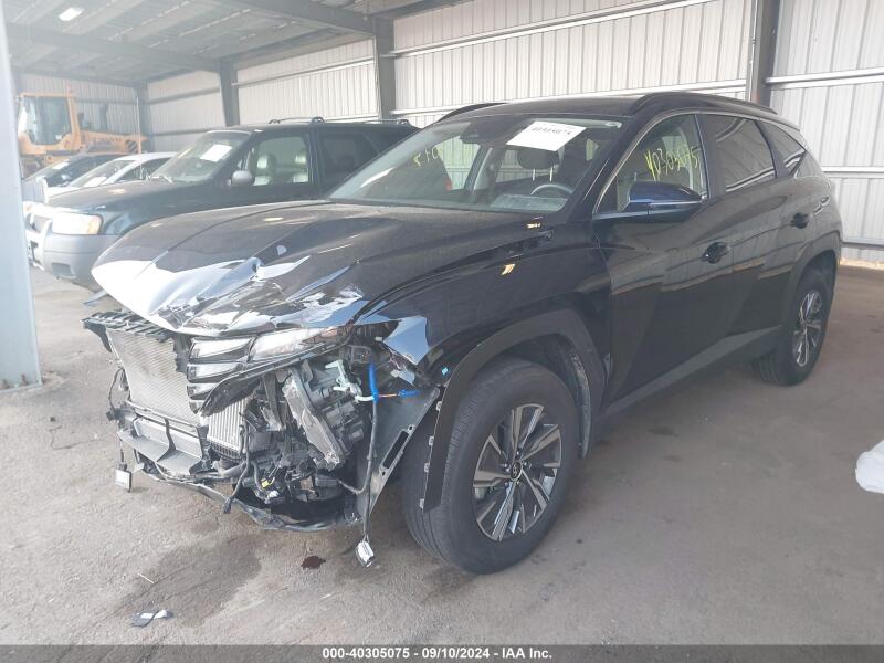 2023 HYUNDAI TUCSON HYBRID BLUE - KM8JBCA17PU127527 | SeoVin.biz