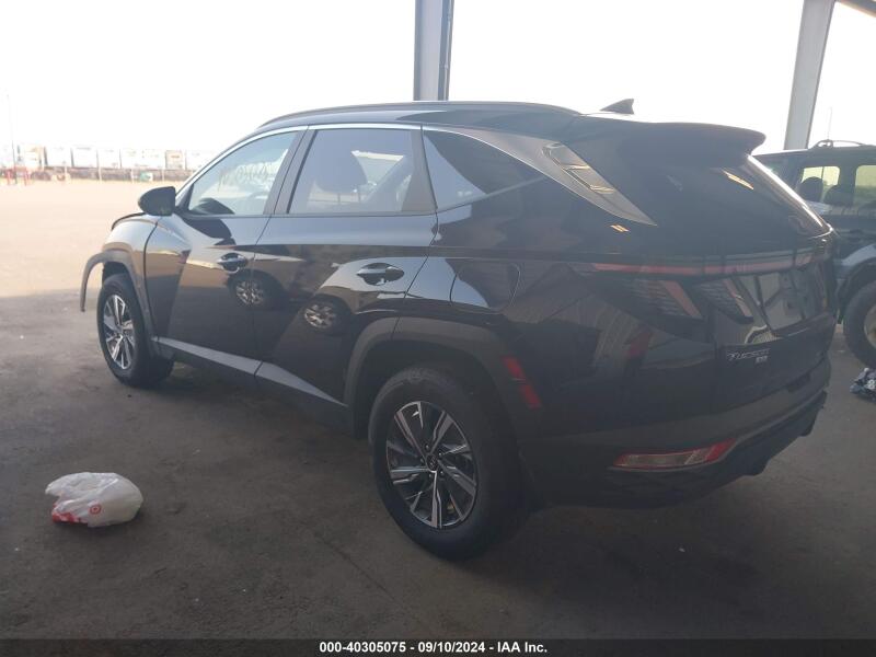 2023 HYUNDAI TUCSON HYBRID BLUE - KM8JBCA17PU127527 | SeoVin.biz