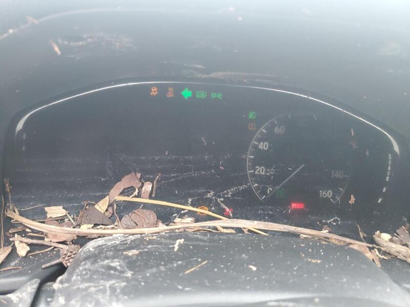 2018 HONDA ACCORD EX - 1HGCV1F4XJA017142 | SeoVin.biz