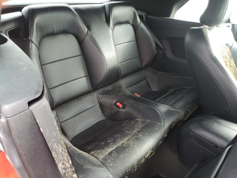 2017 FORD MUSTANG - 1FATP8UH7H5293326 | SeoVin.biz