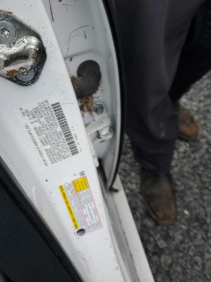 2018 HONDA ACCORD SPORT - 1HGCV1F36JA176800 | SeoVin.biz