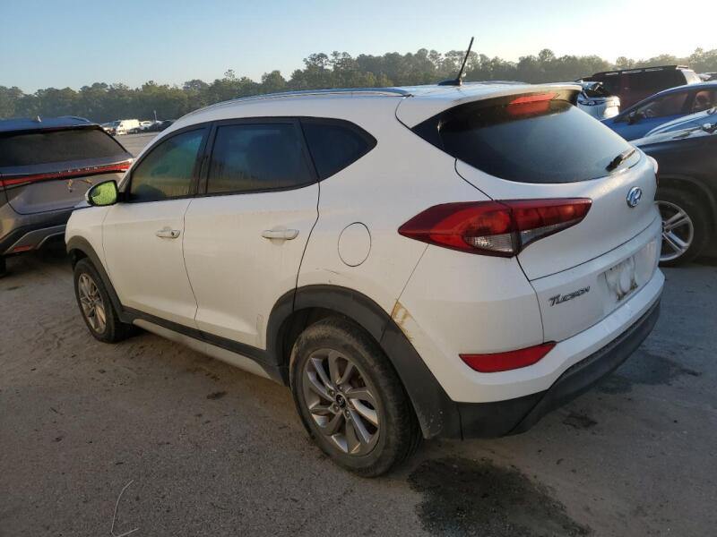 2017 HYUNDAI TUCSON LIMITED - KM8J33A43HU451292 | SeoVin.biz