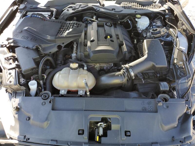 2019 FORD MUSTANG - 1FA6P8TH7K5182880 | SeoVin.biz