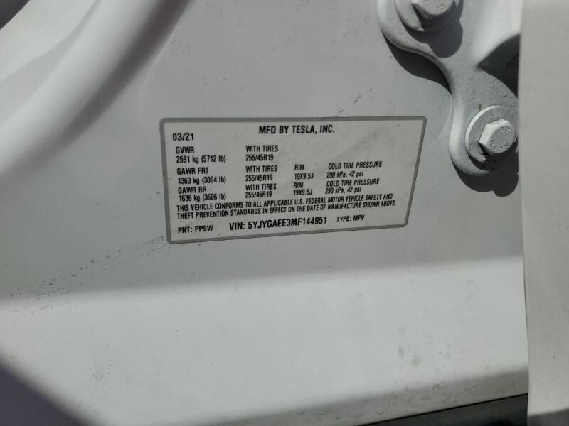 2021 TESLA MODEL Y - 5YJYGAEE3MF144951 | SeoVin.biz