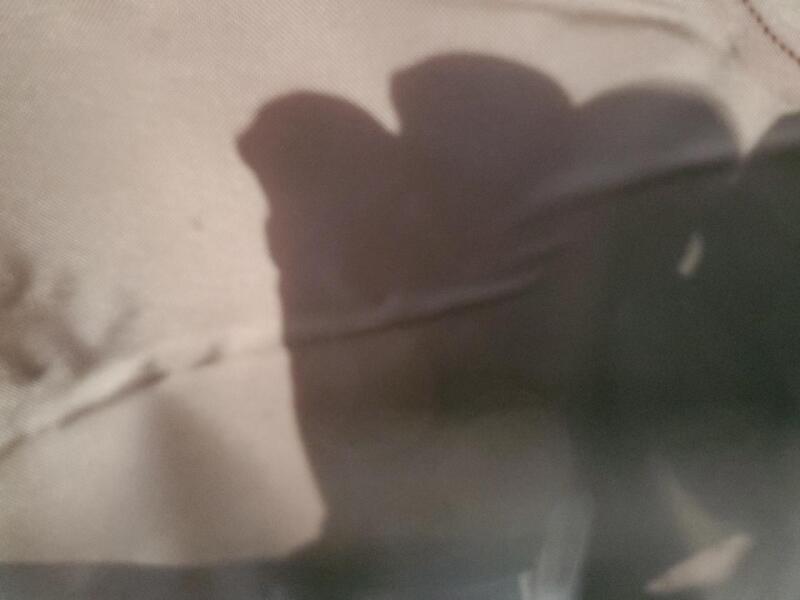 2022 TOYOTA TACOMA DOUBLE CAB - 3TMCZ5AN8NM498978 | SeoVin.biz