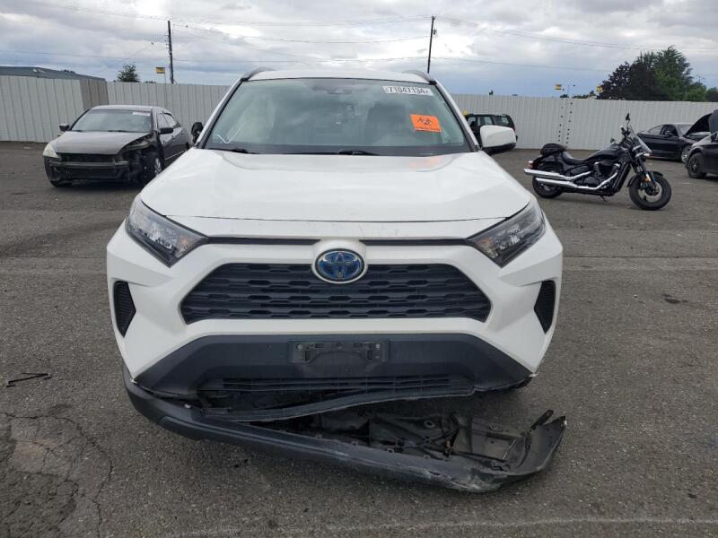 2019 TOYOTA RAV4 LE - 2T3MWRFV0KW036194 | SeoVin.biz