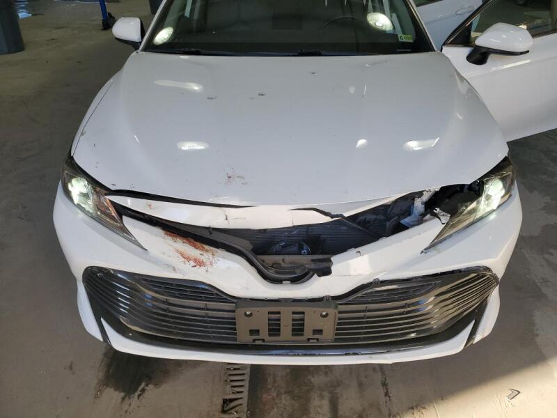2020 TOYOTA CAMRY LE - 4T1C31AKXLU011719 | SeoVin.biz