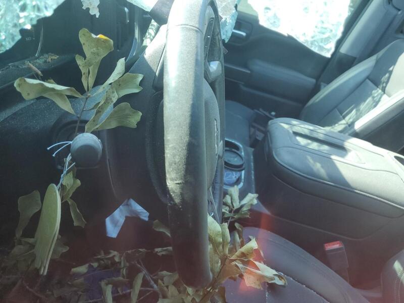 2019 CHEVROLET SILVERADO C1500 RST - 1GCUWDED3KZ163839 | SeoVin.biz