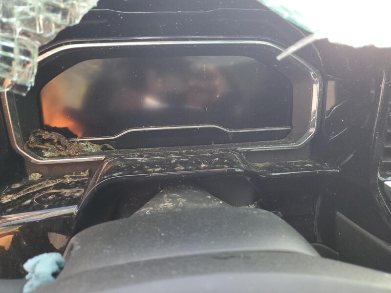 2024 CHEVROLET SILVERADO K1500 LTZ - 2GCUDGED5R1159494 | SeoVin.biz