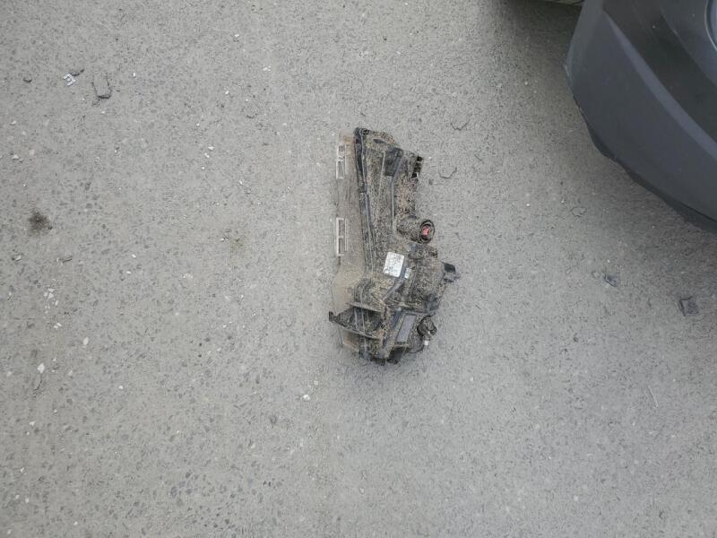 2024 TESLA MODEL Y - 7SAYGDEE0RA222272 | SeoVin.biz