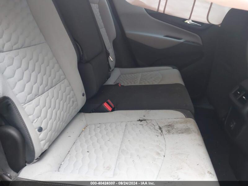 2019 CHEVROLET EQUINOX LS - 3GNAXSEVXKL362706 | SeoVin.biz